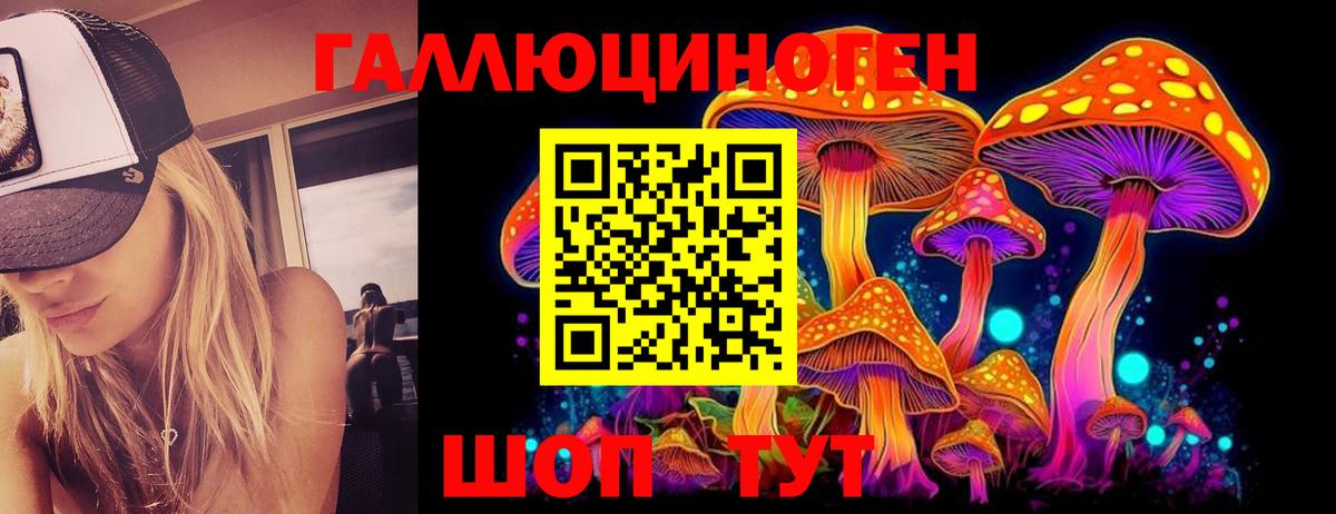 Псилоцибиновые грибы GOLDEN TEACHER Троицк