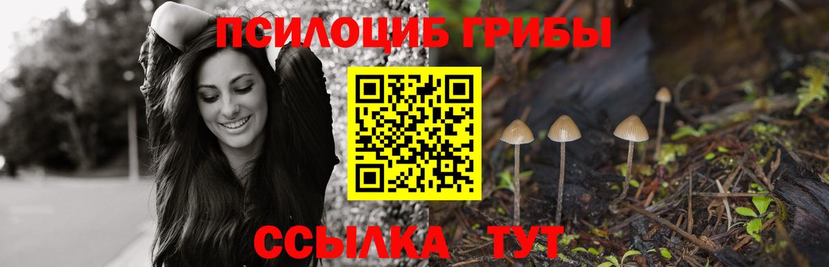 Троицк  Галлюциногенные грибы GOLDEN TEACHER  наркотики  Вход с VPN  Галлюциногенные грибы Cubensis 